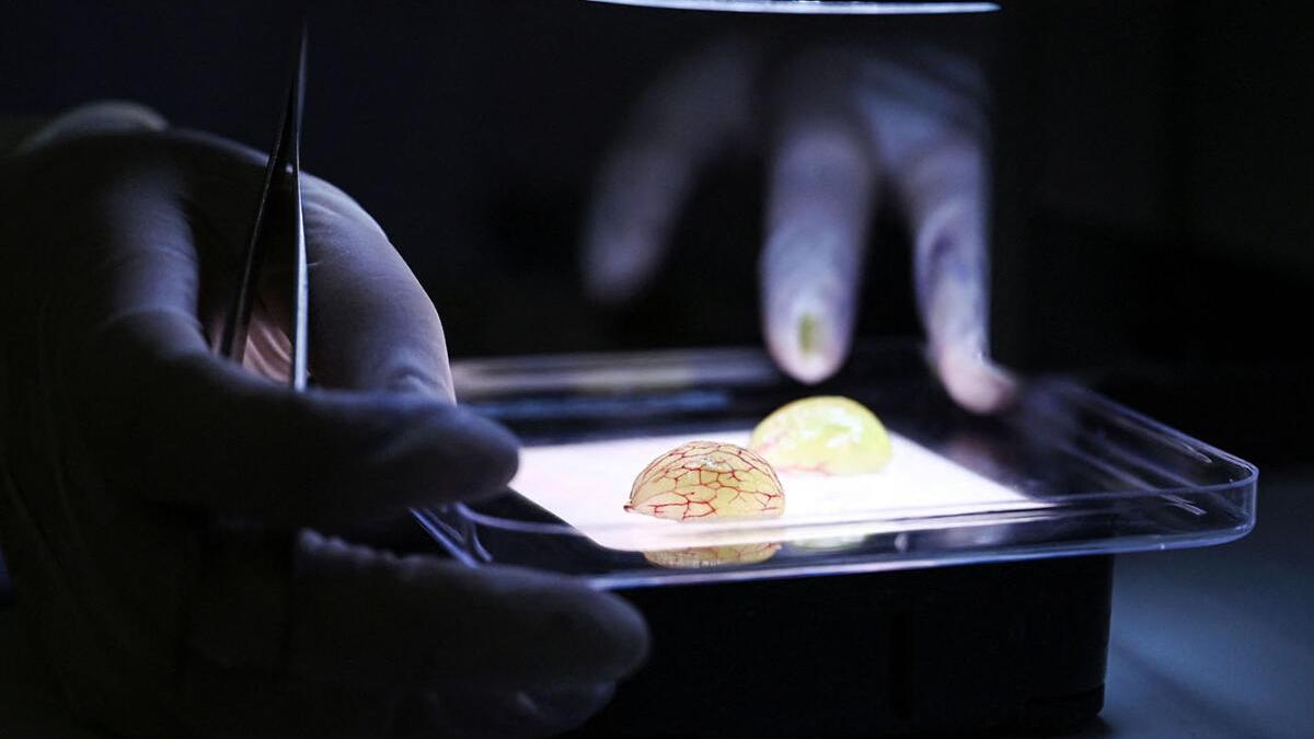 Eight of top 10 global research institutions are Chinese. Here's what India should learn from their strategy